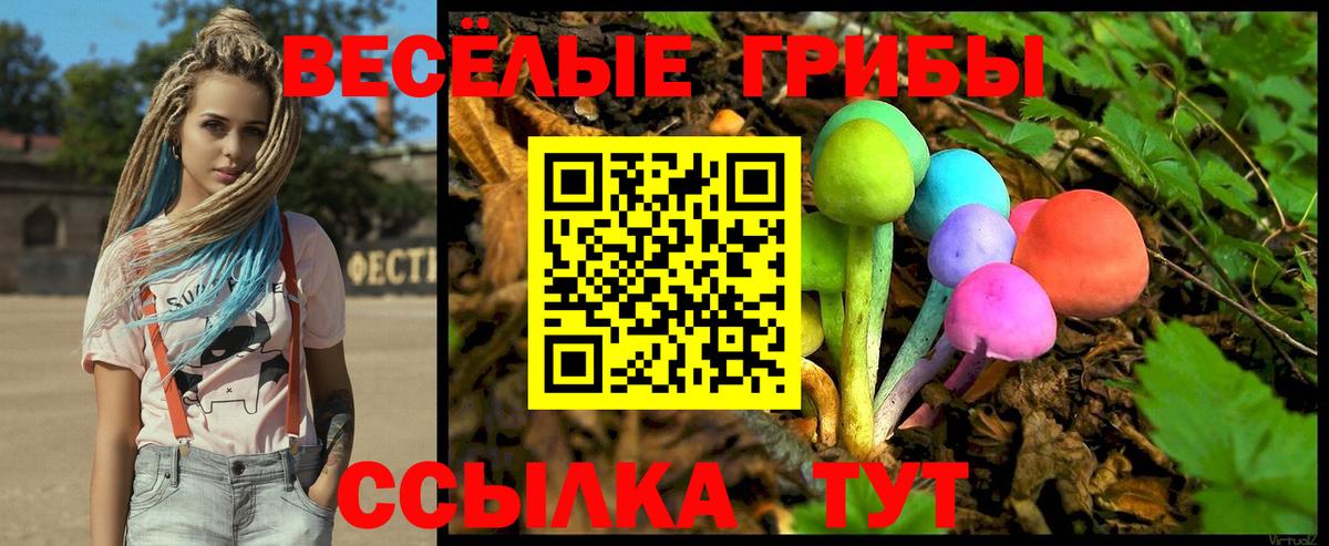 Псилоцибиновые грибы мицелий Долгопрудный