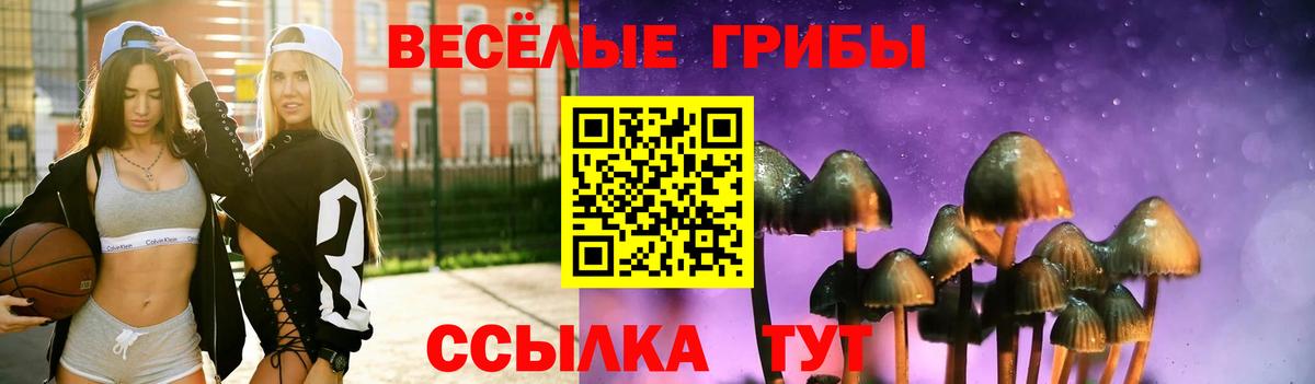 Галлюциногенные грибы прущие грибы  Псилоцибиновые грибы GOLDEN TEACHER  где купить наркоту  Вход с VPN  Долгопрудный 